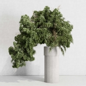 Bonsai tree pine - indoor plant set 426 concrete dirt vase
