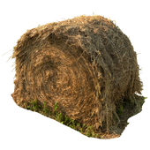 Round bale of hay - corona version