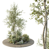 HQ Tree and bush garden box outdoor VOL 15