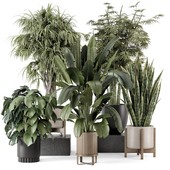 Indoor Plants in Ferm Living Bau Pot Large - Set 1747