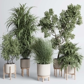indoor plant set 427 pot plant palm grass concrete dirt vase