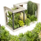 Collection plant vol 534 - garden - Landscape Design - backyard