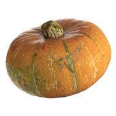 Round pumpkin 1