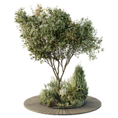 HQ Tree and bush garden box outdoor VOL 16