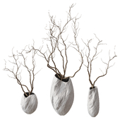 branches in a vase set