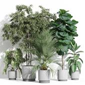 Plants collection 1002