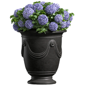 Hydrangea in a classic French pot Anduze Planter.Front Entrance Tree Patio terrace Porch balcony.Decorative Vase