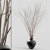 Branches in vases 11