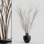 Branches in vases 12