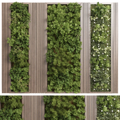 Vertical Wall Garden With Wooden frame - green wall garden set 68