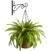 Hanging Basket Flower Fern Planter.Bracket for hanging plants. Wall Mount Hanging Plant Hook Basket Flower Planter. Facade Front Lawn Decorations Patio Porch Door Balcony Terrace garden planter. Outdoor House Garden Decoration