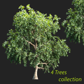 Trees collection vol 238