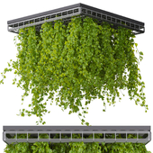 Collection plant vol 545 - ampelous - hanging - False Ceiling - tileable