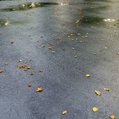 Wet asphalt with leaves. Autumn. Editable