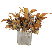 Decorative Dried Plants in Glass Vase