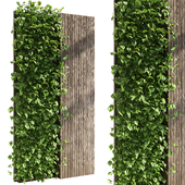 Vertical Wall Garden With Wooden frame - green wall gardens set02