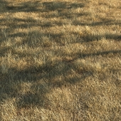 grass15(dry grass)
