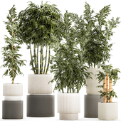 Plant collection 1450