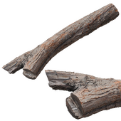 Scan Wooden log