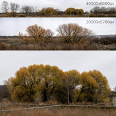 Autumn panoramas with willows