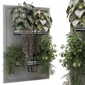 indoor hanging plants in metal shelf _  Set 1132