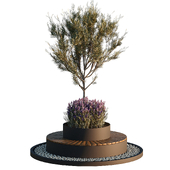 Outdoor Plants for lansdcape