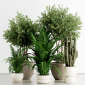 Indoor plant in stone pot set 80