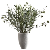 Bouquet of olive branches with foliage