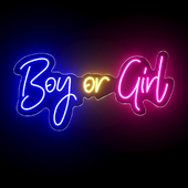 Boy Or Girl Neon Sign