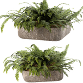 Fern Boston, in Concrete Bowl