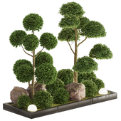 Garden Topiary Pine Tree And Shrub 13