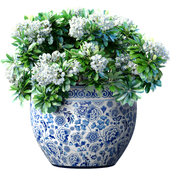 Bouquet of white flowers in a potted vase for decoration