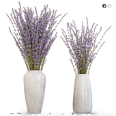 Dry flowers 11 lavender