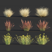 Low poly wild grass collection vol 246