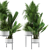 Indoor plant In Rusty stand concrete pot set-90
