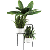 Indoor plant In Rusty stand stone pot set-91