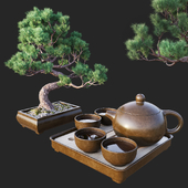 Decorative set with bonsai
