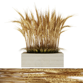 Outdoor wheat and grass plant in vase set19