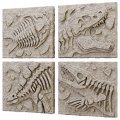 DIY Fossil Art Collection