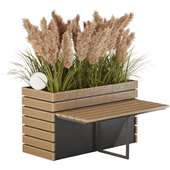 Outdoor Pampas And Grass Plants Set