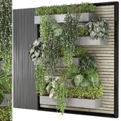 indoor wall vertical garden - Set 1215