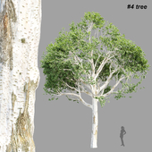 Trees Collection vol 252