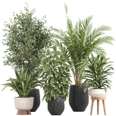 indoor plants set 043