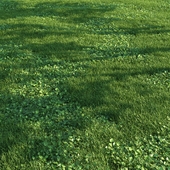 Grass019