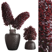decorative plants007