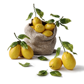 Lemons in a bag
