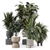 Indoor Plants in Ferm Living Bau Pot Large - Set 2079