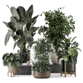 Indoor Plants in Ferm Living Bau Pot Large Set 2080