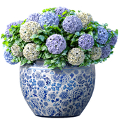 Hydrangea in chinese vase, a pot,urn flowerpot for decoration.Indoor plant