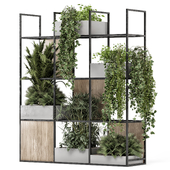 Indoor Plants in Wooden Pot on Metal Shelf - Set 2093